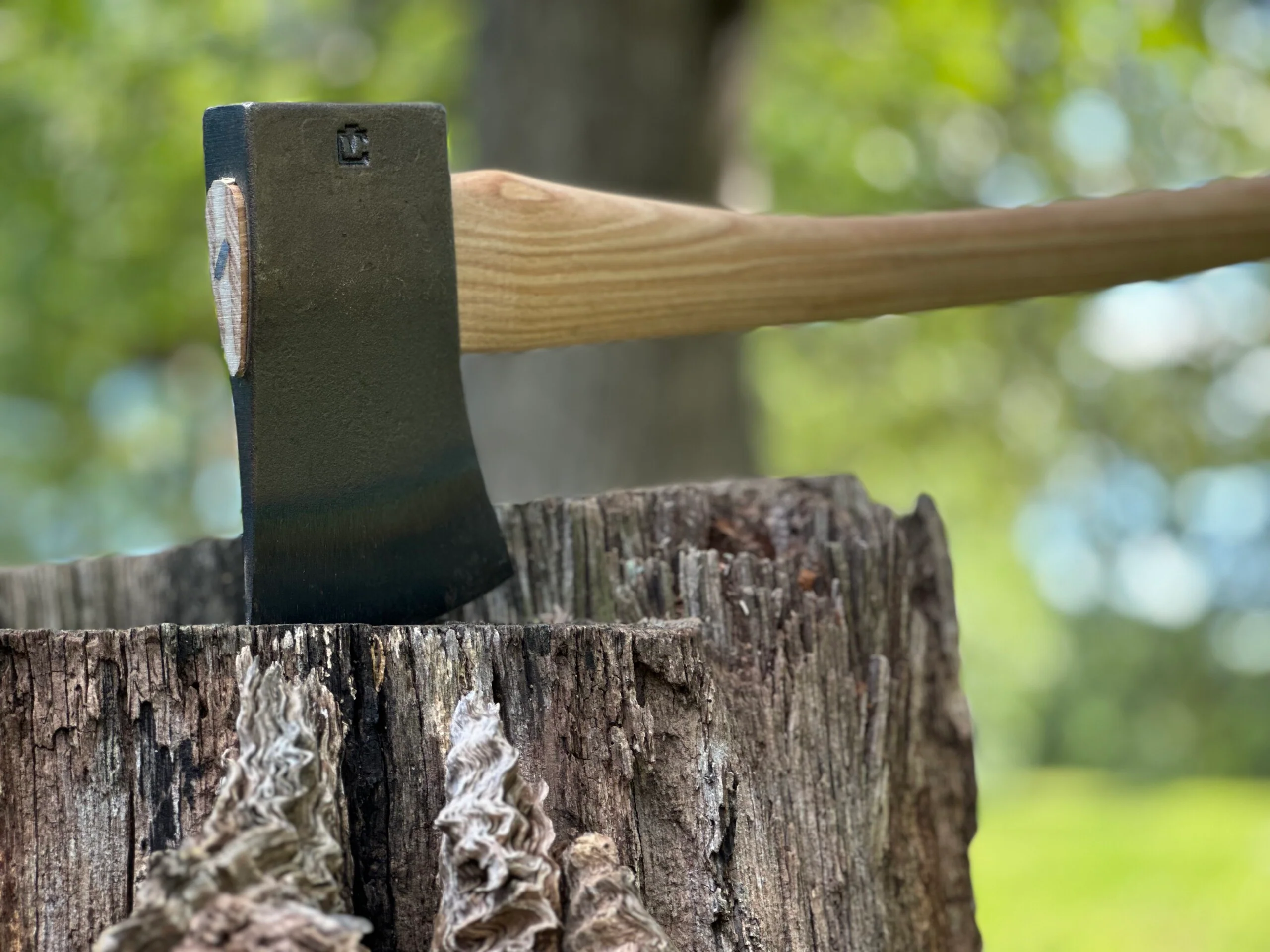 2.25 lbs. Boy’s Axe; 28 in. Curved Wooden Handle Sport Utility Finish - Image 6