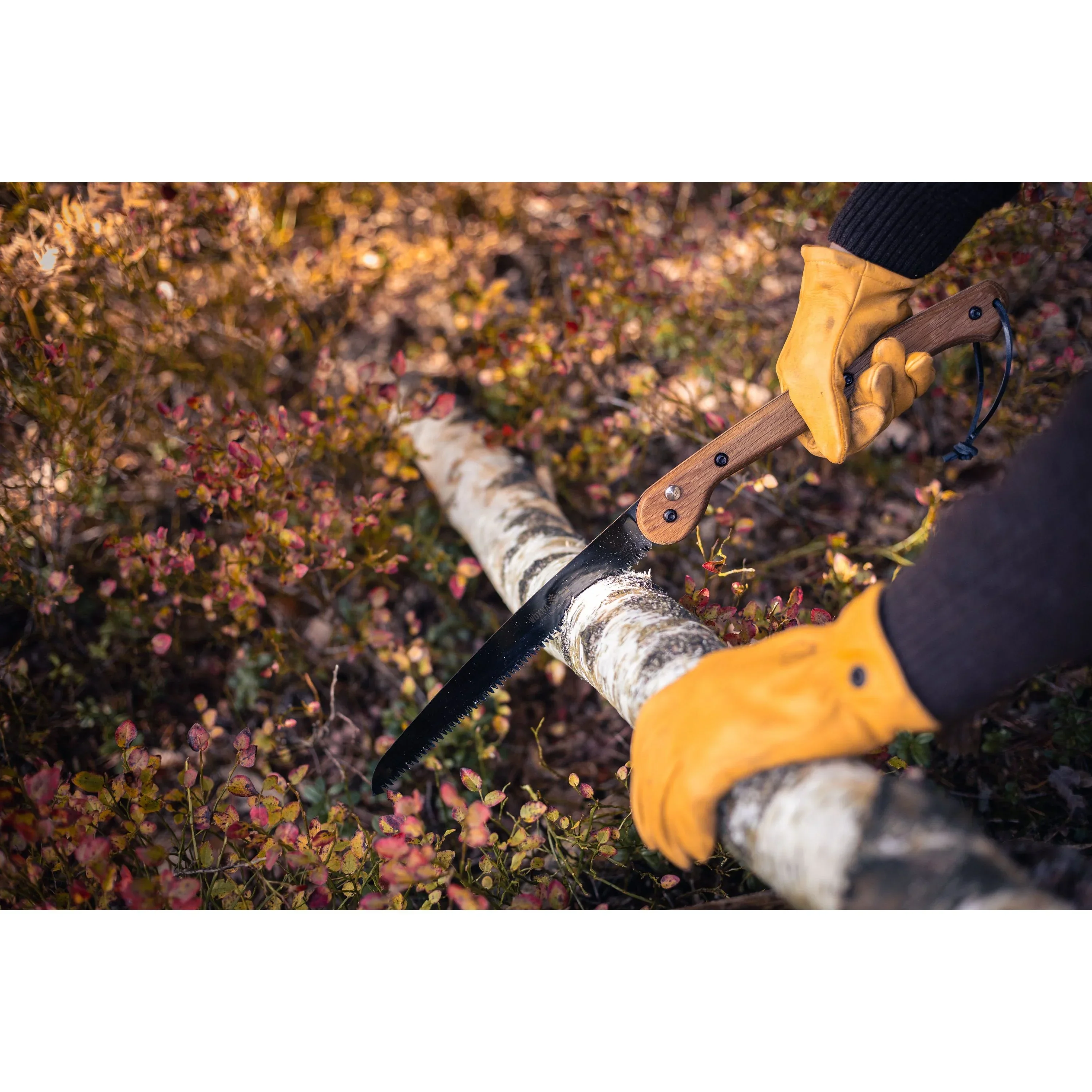 Hälsing Foldable Saw 250mm / 10 inches - Oak & High Carbon Steel - Image 14